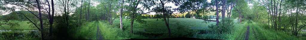 this-is-new-york.com Along the Delaware & Ulster railroad hiking path, Hobart NY photo by Kelly Chien