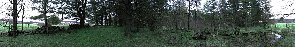 this-is-new-york.com Wooded Spring near Hobart NY photo by Kelly Chien