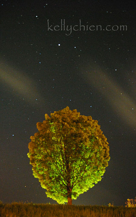 this-is-new-york.com Midnight starry sky over Hobart NY photo by Kelly Chien