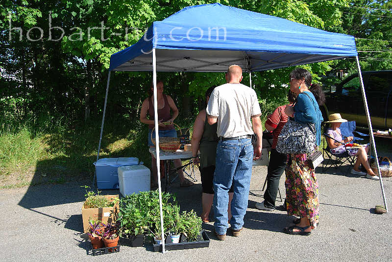 this-is-new-york.com Hobart Farmers' Market - items for sale photo by Kelly Chien