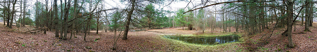 this-is-new-york.com Spring lake in the woods near Hobart NY photo by Kelly Chien