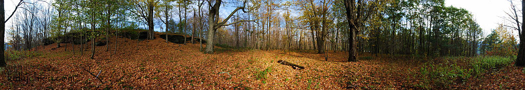 this-is-new-york.com Autumn leaves strewn over the hillside on Mt. Bobb in Hobart NY photo by Kelly Chien