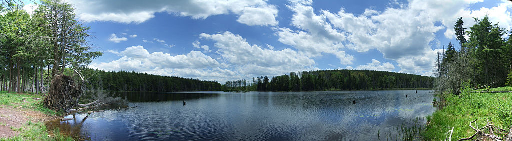 this-is-new-york.com Mud Lake near Richmondville NY photo by Kelly Chien