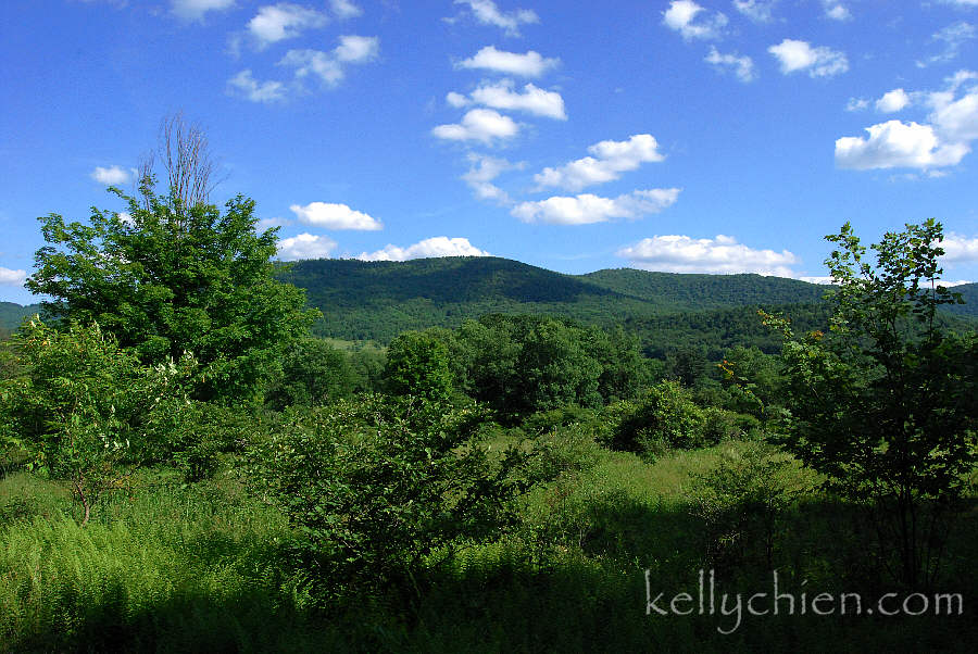 this-is-new-york.com Mountain view in the nature conservatory near Hamden NY photo by Kelly Chien