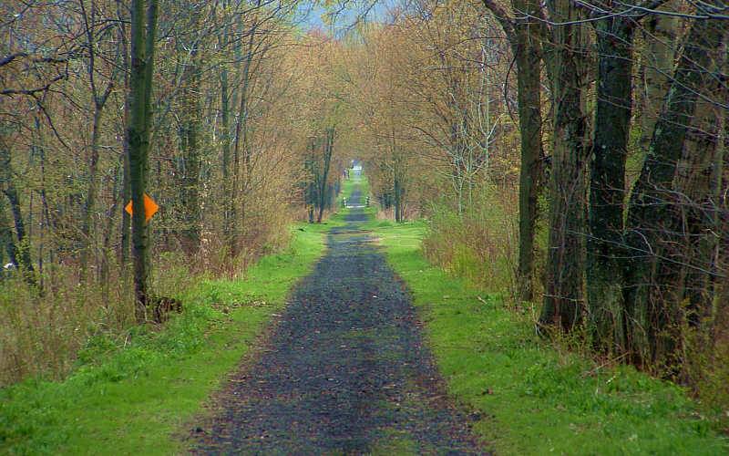 this-is-new-york.com Delaware & Ulster railroad hiking path in Hobart NY photo by Kelly Chien