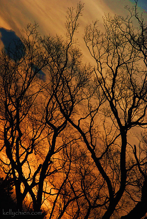 this-is-new-york.com Sunset over the recreation field in Hobart NY photo by Kelly Chien