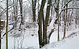 this-is-new-york.com Winter snow along the Delaware & Ulster railroad hiking path in Hobart NY photo by Kelly Chien