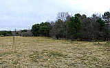 this-is-new-york.com Lost field in the hills near Hobart NY photo by Kelly Chien